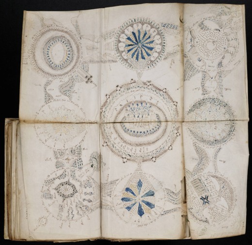 voynich-manuscript-zoom